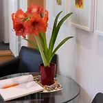 Otel Europa Görlitz